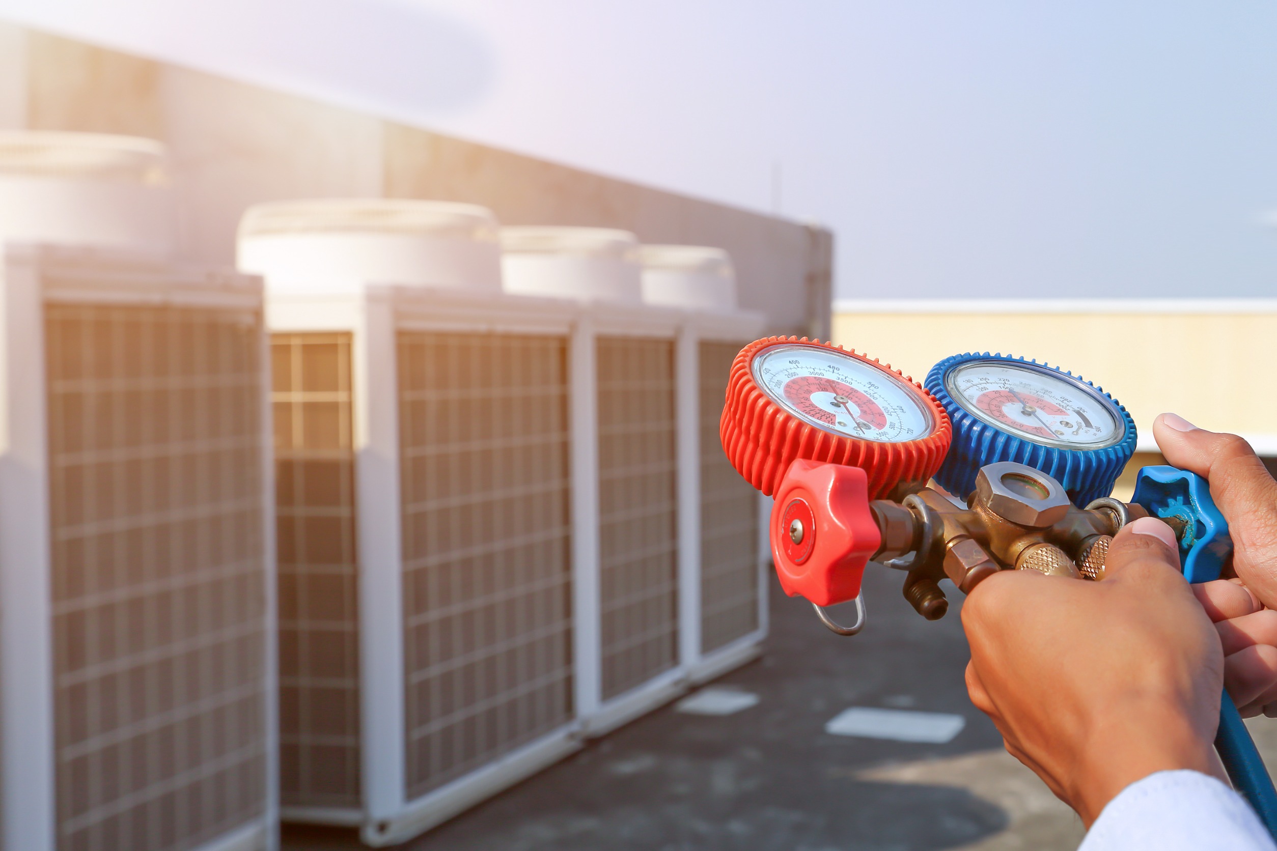 146455896 m normal none