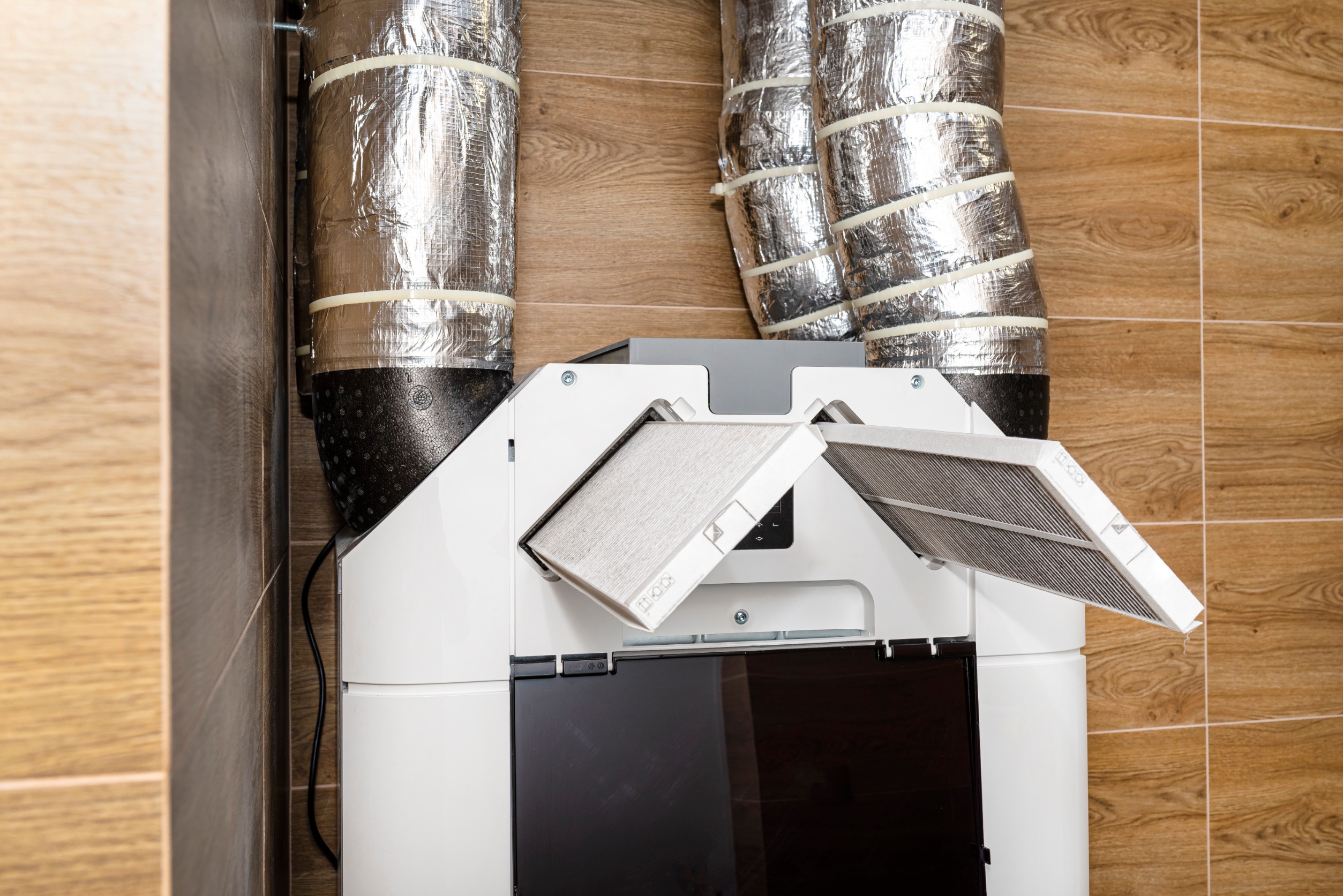 185204138 m normal none