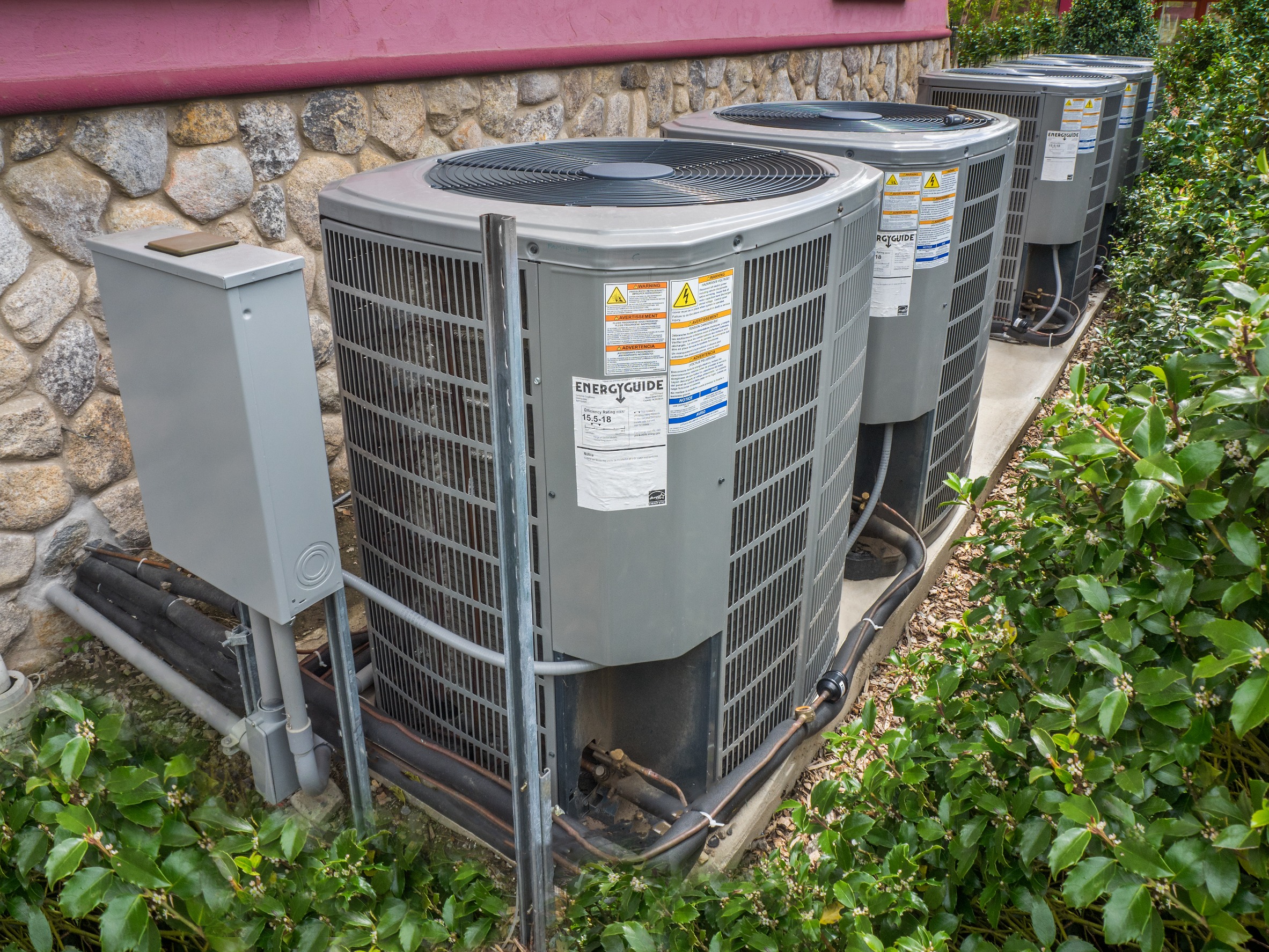 78095493 m normal none