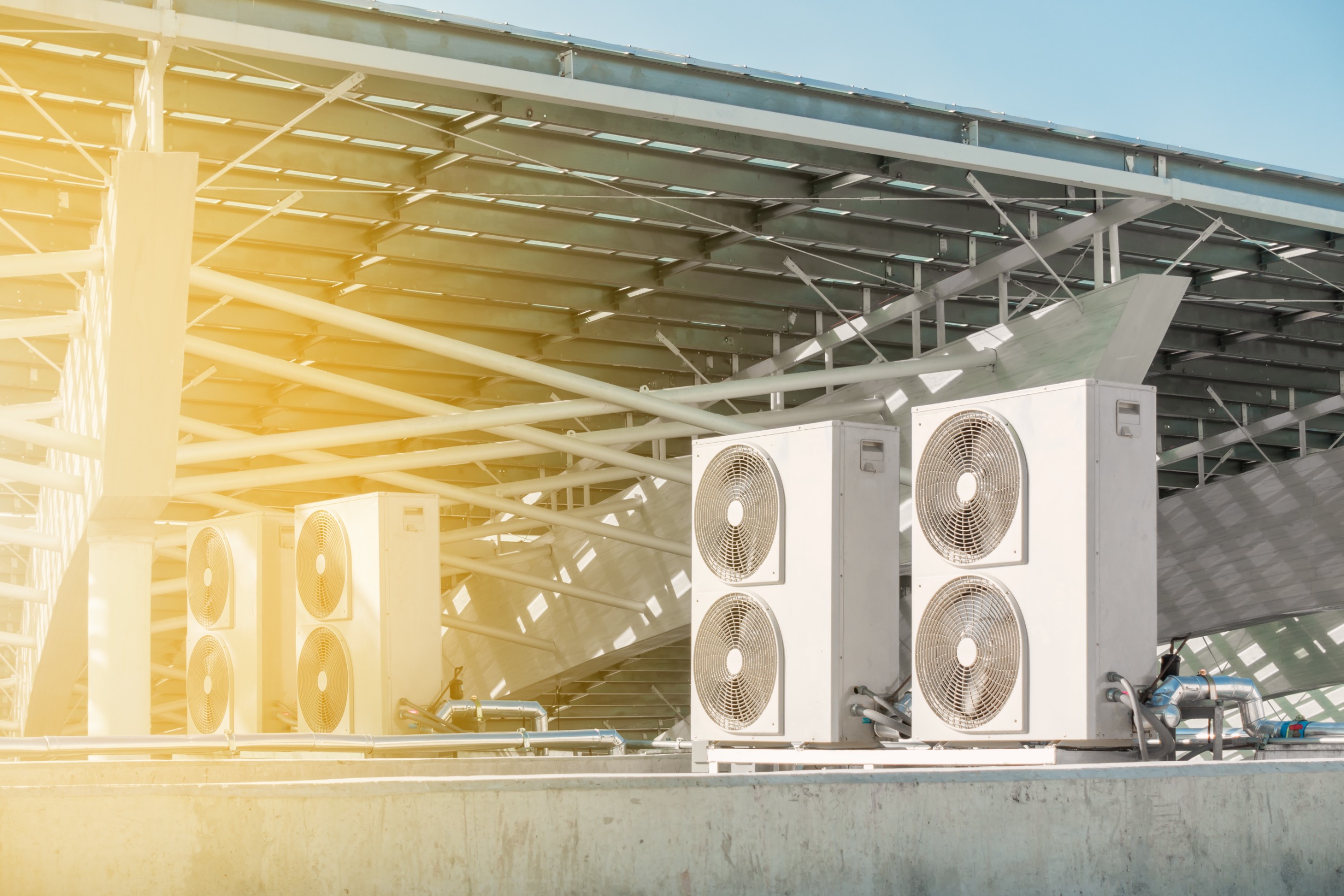 93723367 m normal none